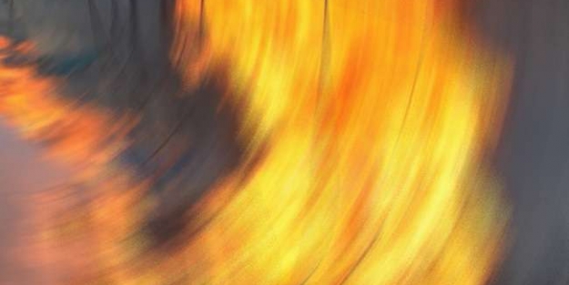 Bursa'da sulak alanlar koruma altında