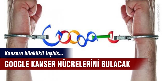 Kanser hücrelerini Google bulacak