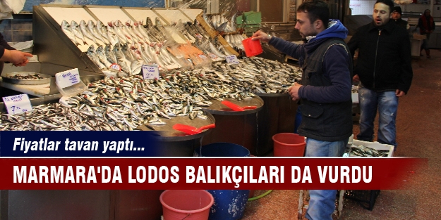 Lodos balık fiyatlarına tavan yaptırdı