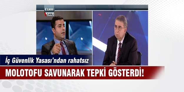 Selahattin Demirtaş molotofu savundu