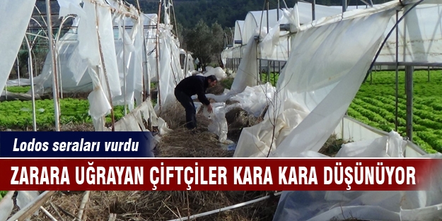 Lodos yüzlerce çiftçiyi mağdur etti