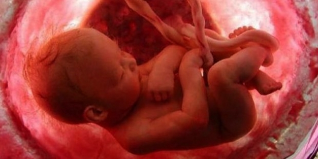 Rögarda 4 aylık cenin buldular!