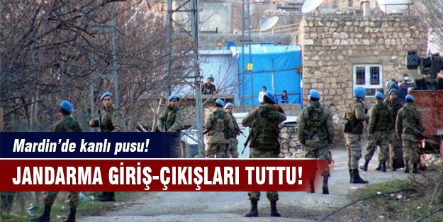 Mardin'de hain pusu!