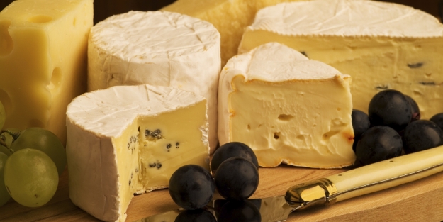 Yasa yürürlüğe girdi! Artık onlar yasak