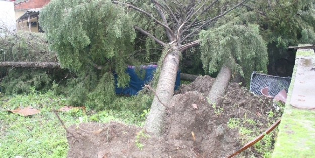 Marmaris'te hortum dehşeti !