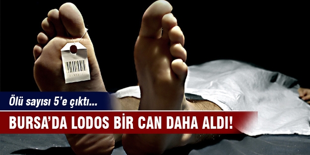 Bursa'da lodos bir can daha aldı