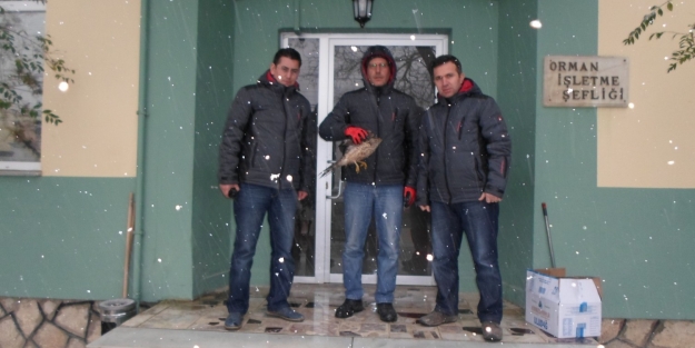 Bursa'da 24 saat kar nöbeti