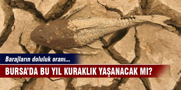 Bu sene kuraklık yaşanacak mı?