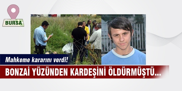 Bonzai içen kardeşini öldürdü!