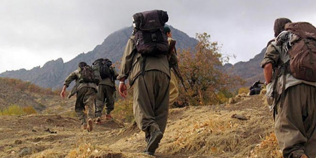 Almanya'nın gönderdiği silahlar PKK'nın eline geçti!