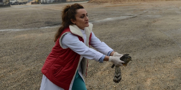 Yaralı ataca tedavi edildi