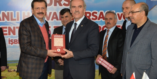 Bursa'ya canlı hayvan borsası...