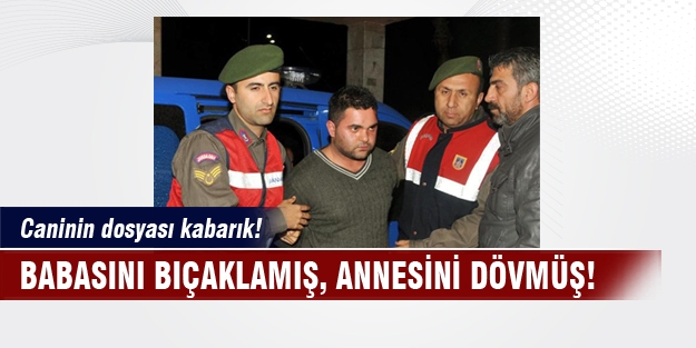 O cani babasını 2 kez bıçaklamış!