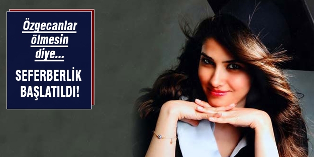 Başbakanlık Özgecan'ın ardından harekete geçti!