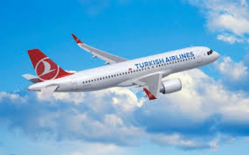 THY tüm iç hat seferlerini iptal etti