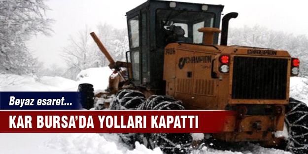 Bursa beyaz esaret altında