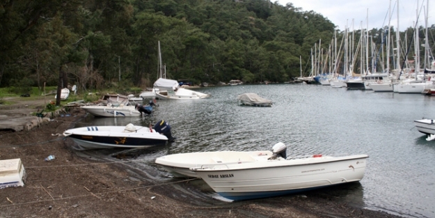 Denizde korkutan manzara