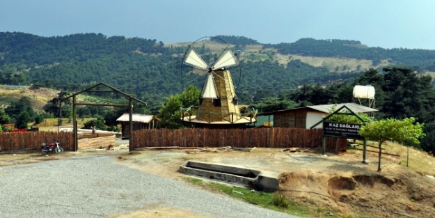 Farmville oyunu gerçek oluyor!