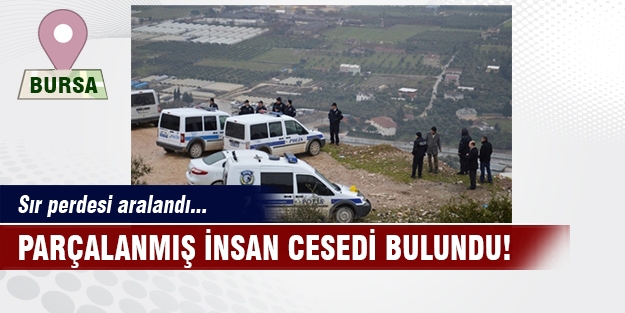 Bursa'da parçalanmış ceset bulundu!