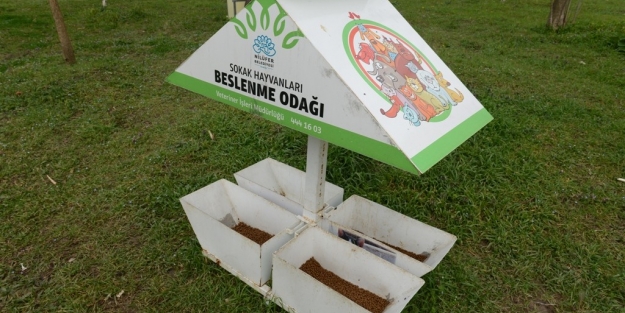 Bursa'da akılalmaz hırsızlık!