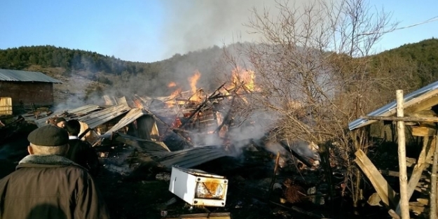 Soba bir evi kül etti