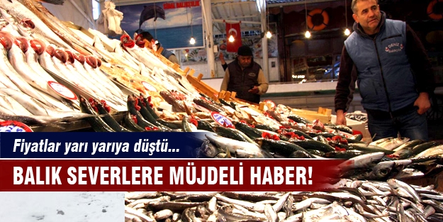 Balık severlere müjdeli haber!