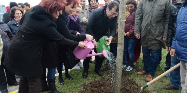 Öldürülen her kadın için bir ağaç