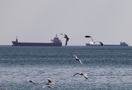 Marmara'da ulaşıma poyraz engeli