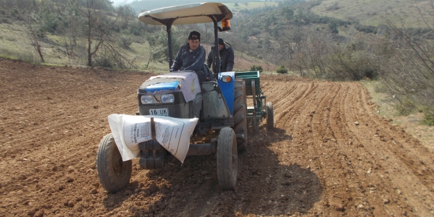 Bursalı çiftçiler umudunu soğana bağladı