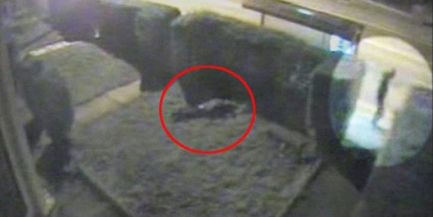 Korkunç olay! Tecavüz edip ölüme terk etti!