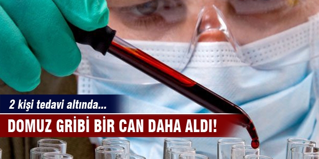 Domuz gribi bir can daha aldı