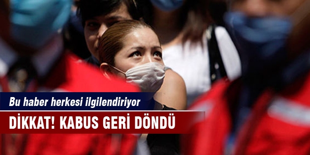 Sağlık Bakanlığı'ndan domuz gribi açıklaması