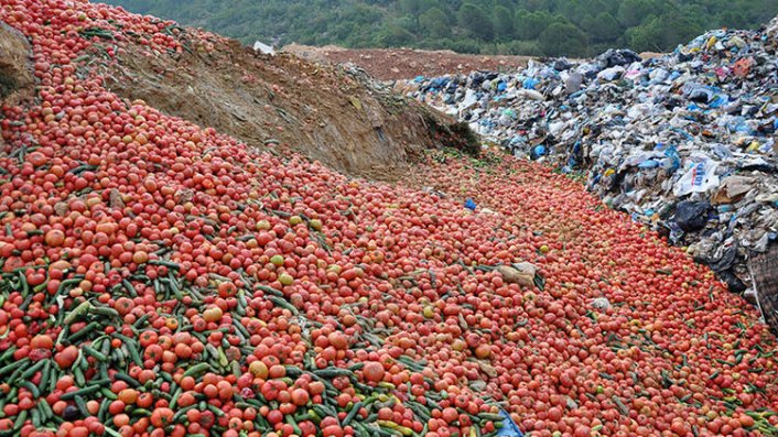 Bakan Muş açıkladı! Çöpe dökülen sebzelerle ilgili inceleme başlatıldı