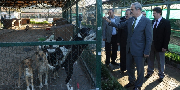 Altepe'den o iddiaya cevap!