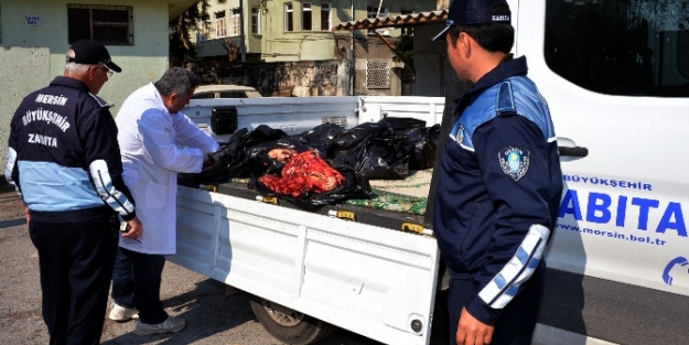 Polisten at eti operasyonu