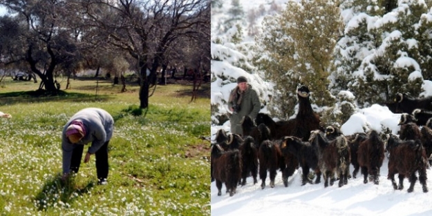 Türkiye iki ayrı mevsimi bir arada yaşıyor!
