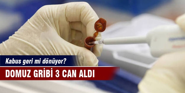 Kabus geri mi dönüyor? Domuz gribi 3 can aldı