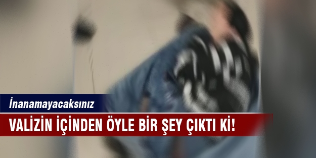 Valizin içinden öyle bir şey çıktı ki!