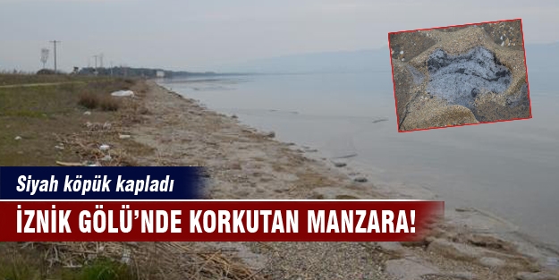 İznik Gölü’nde korkutan manzara! Siyah köpük kapladı