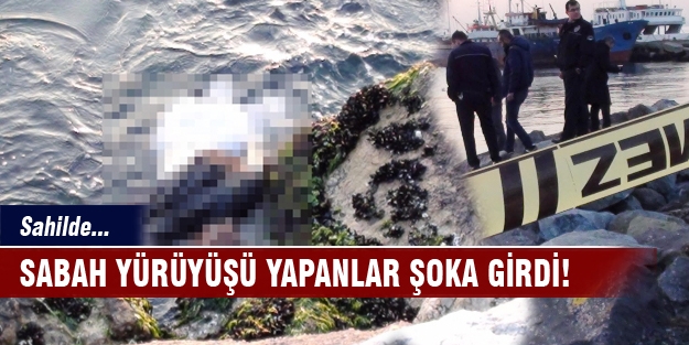 Sabah yürüyüşü yapanlar şoka girdi! Sahilde...