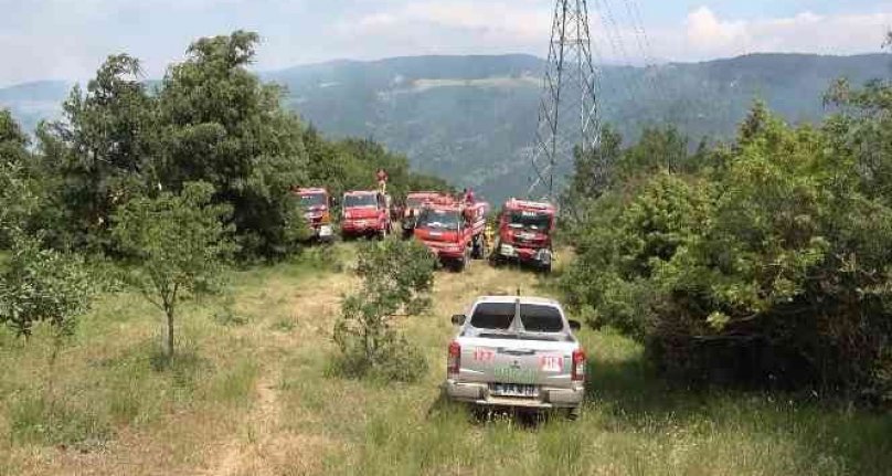 Uludağ eteklerinde orman yangını!