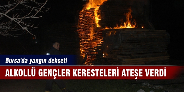 Bursa'da yangın dehşeti!İtfaiye ekipleriyle tartışıp, keresteleri yaktılar!