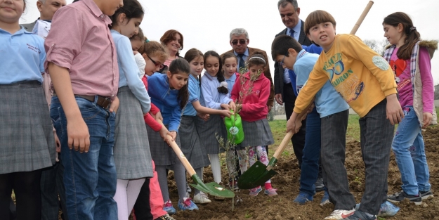 Bursalı Kübra’dan Vanlı Ayşe’ye zeytin dalı
