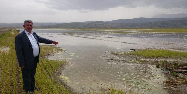 Bursa'da 8 bin dönüm arazi sular altında