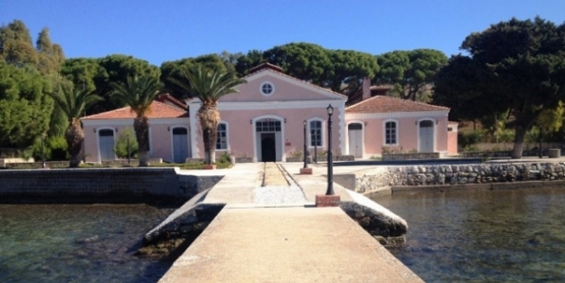 Domuz gribine karşı Osmanlı yöntemi!