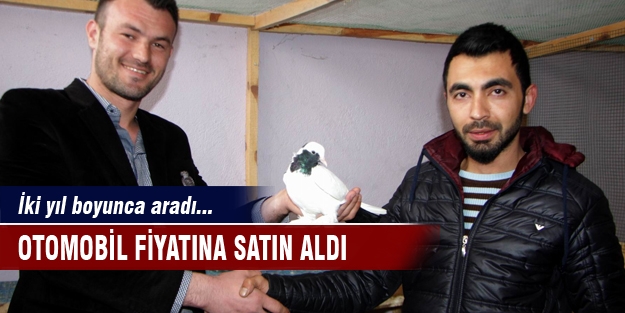 İki yıl boyunca aradı, otomobil fiyatına satın aldı