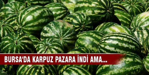 Bursa'da karpuz pazara indi ama...