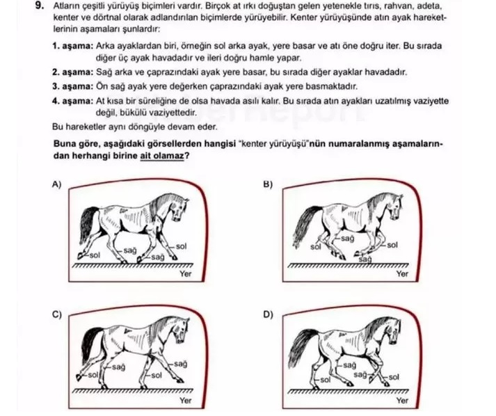 LGS’de sorulan ‘at sorusu’ sosyal medyada tartışma yarattı