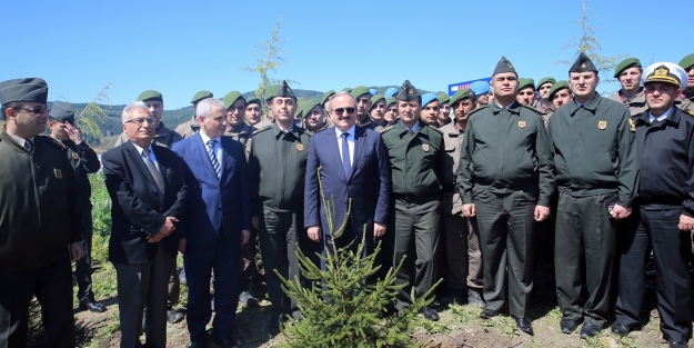 Tehris olmak için fidan dikecekler!