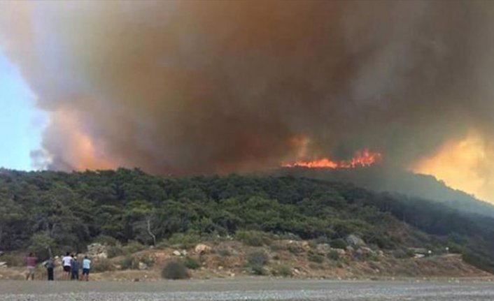 Antalya'daki orman yangını 6 saatte kontrol altına alındı